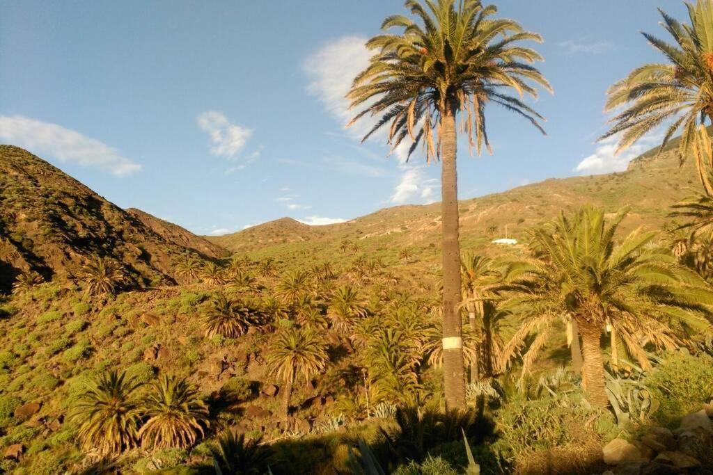 Casa Sol Y Montana *